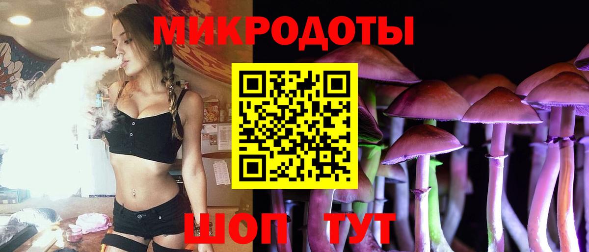 магазин продажи   Вход с VPN  Алексин  Псилоцибиновые грибы Psilocybine cubensis 